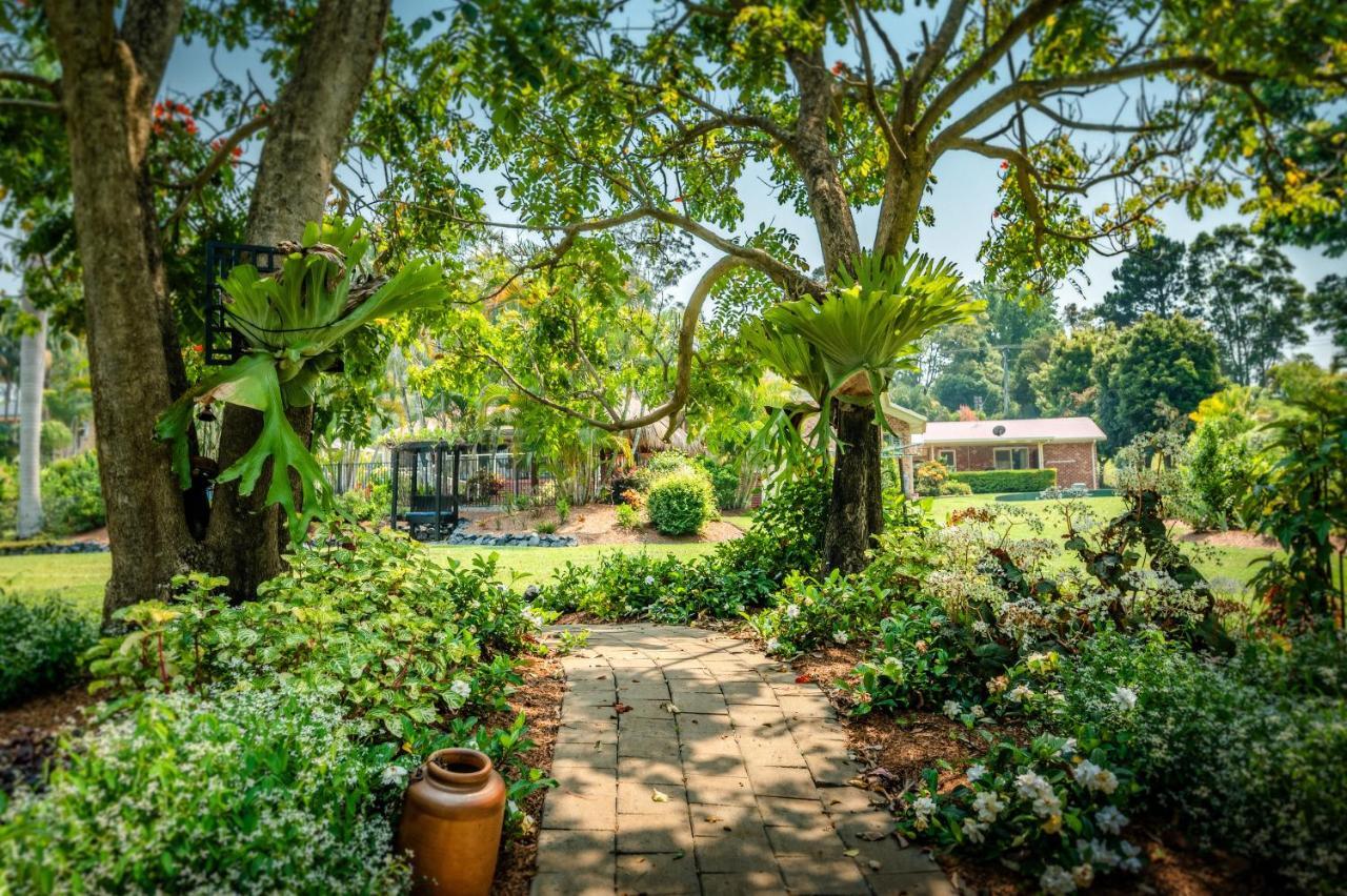 Alarks Nest Bed And Breakfast Boambee Exterior foto